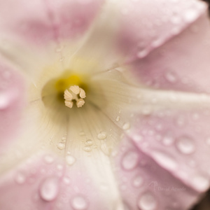 Uber Exif Photo