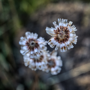 Uber Exif Photo