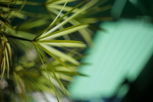 Uber Exif Photo
