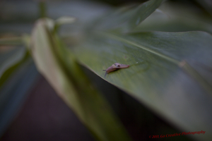 Uber Exif Photo