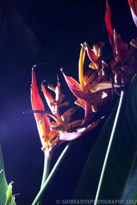 Uber Exif Photo