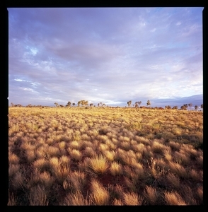 Uber Exif Photo