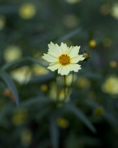 Uber Exif Photo