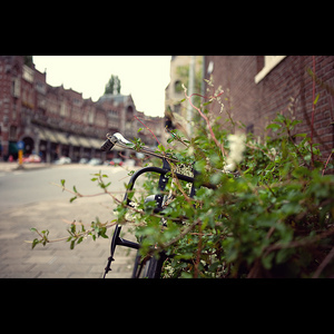 Uber Exif Photo