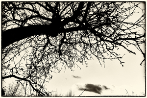 Uber Exif Photo