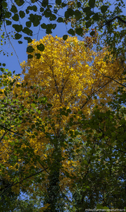 Uber Exif Photo