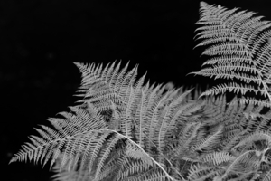 Uber Exif Photo