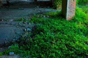 Uber Exif Photo