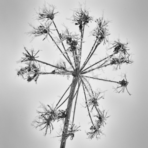 Uber Exif Photo