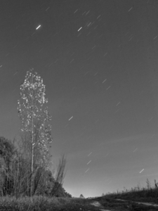 Uber Exif Photo