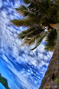 Uber Exif Photo