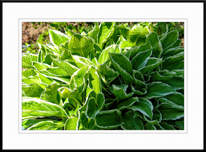 Uber Exif Photo