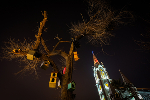 Uber Exif Photo