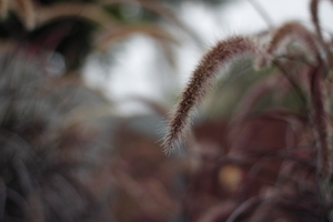 Uber Exif Photo