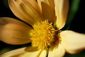 Uber Exif Photo