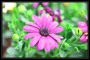 Uber Exif Photo
