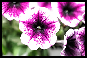 Uber Exif Photo