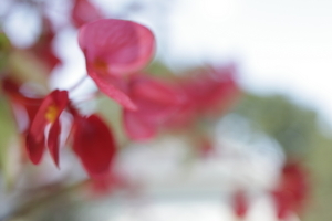 Uber Exif Photo