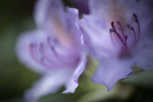 Uber Exif Photo