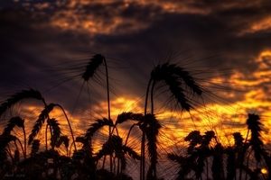 Uber Exif Photo