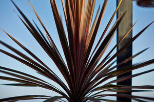 Uber Exif Photo