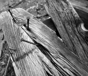 Uber Exif Photo
