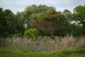 Uber Exif Photo