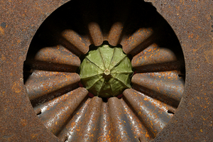 Uber Exif Photo