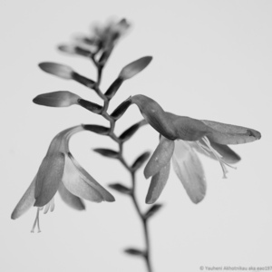 Uber Exif Photo