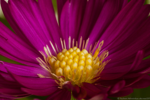 Uber Exif Photo