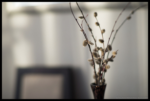Uber Exif Photo