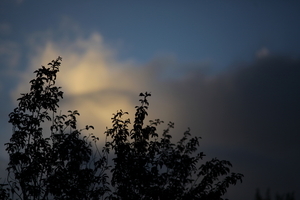 Uber Exif Photo