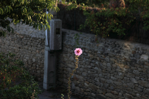 Uber Exif Photo