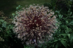 Uber Exif Photo