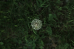 Uber Exif Photo