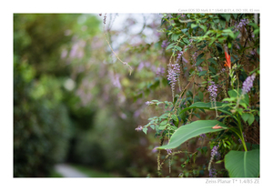 Uber Exif Photo