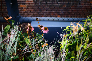 Uber Exif Photo