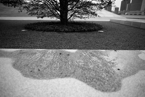 Uber Exif Photo