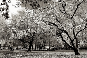 Uber Exif Photo