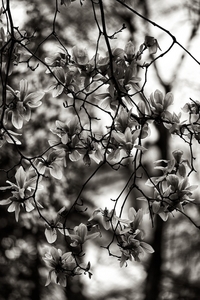 Uber Exif Photo