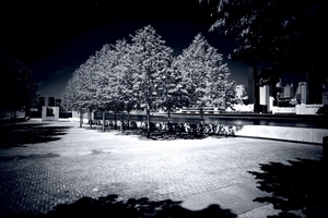 Uber Exif Photo