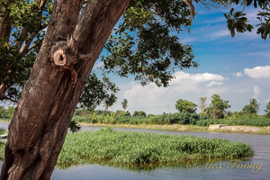 Uber Exif Photo