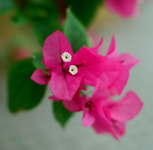 Uber Exif Photo