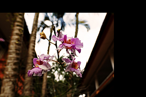 Uber Exif Photo
