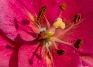 Uber Exif Photo