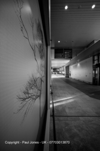 Uber Exif Photo
