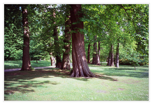 Uber Exif Photo