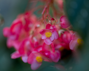 Uber Exif Photo