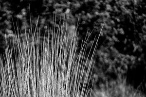 Uber Exif Photo