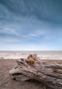Uber Exif Photo